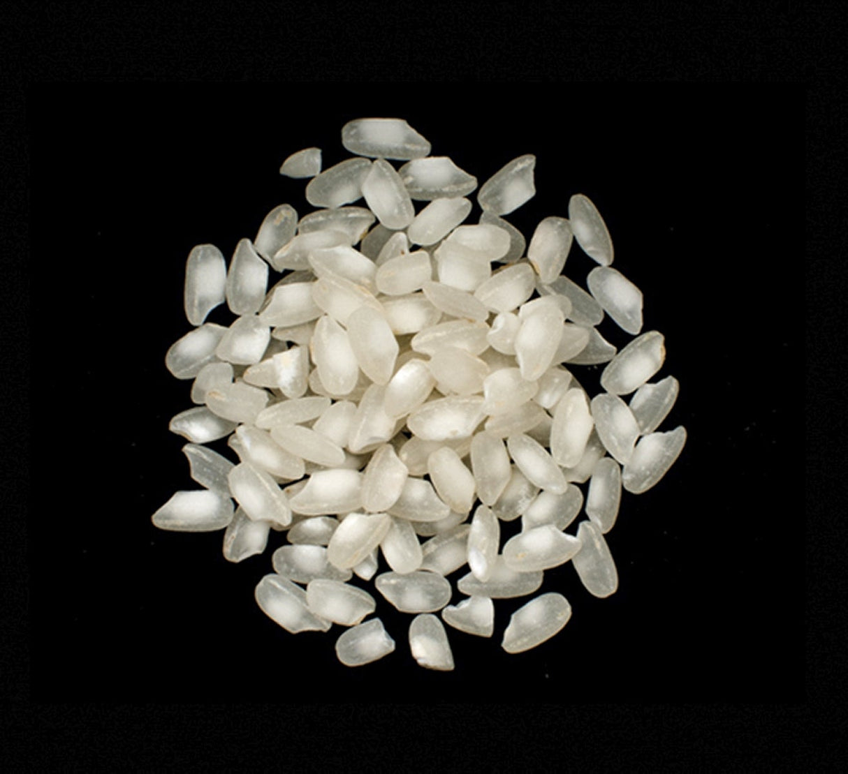 Rice, Arborio, Short,1 - 10 POUND