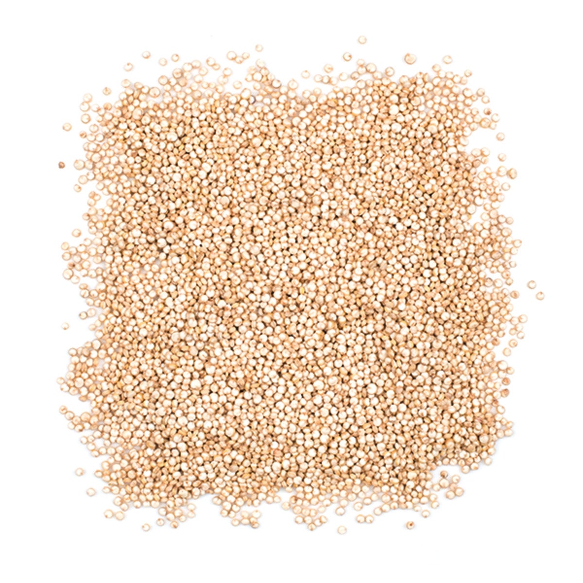 Quinoa, White, Pre-Washed,1 - 25 POUND