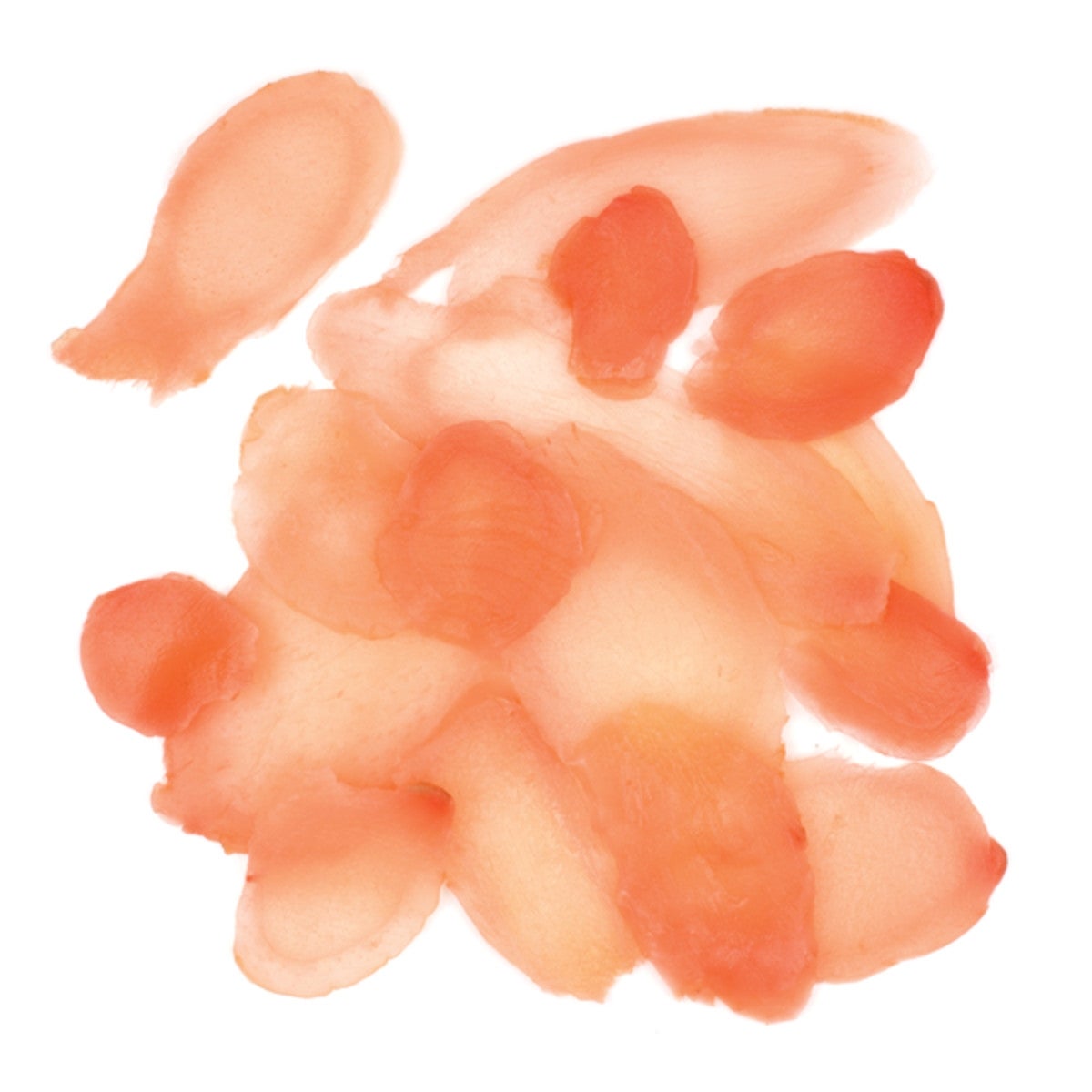 Ginger (Shoga), for Sushi,12 - 16 OUNCE