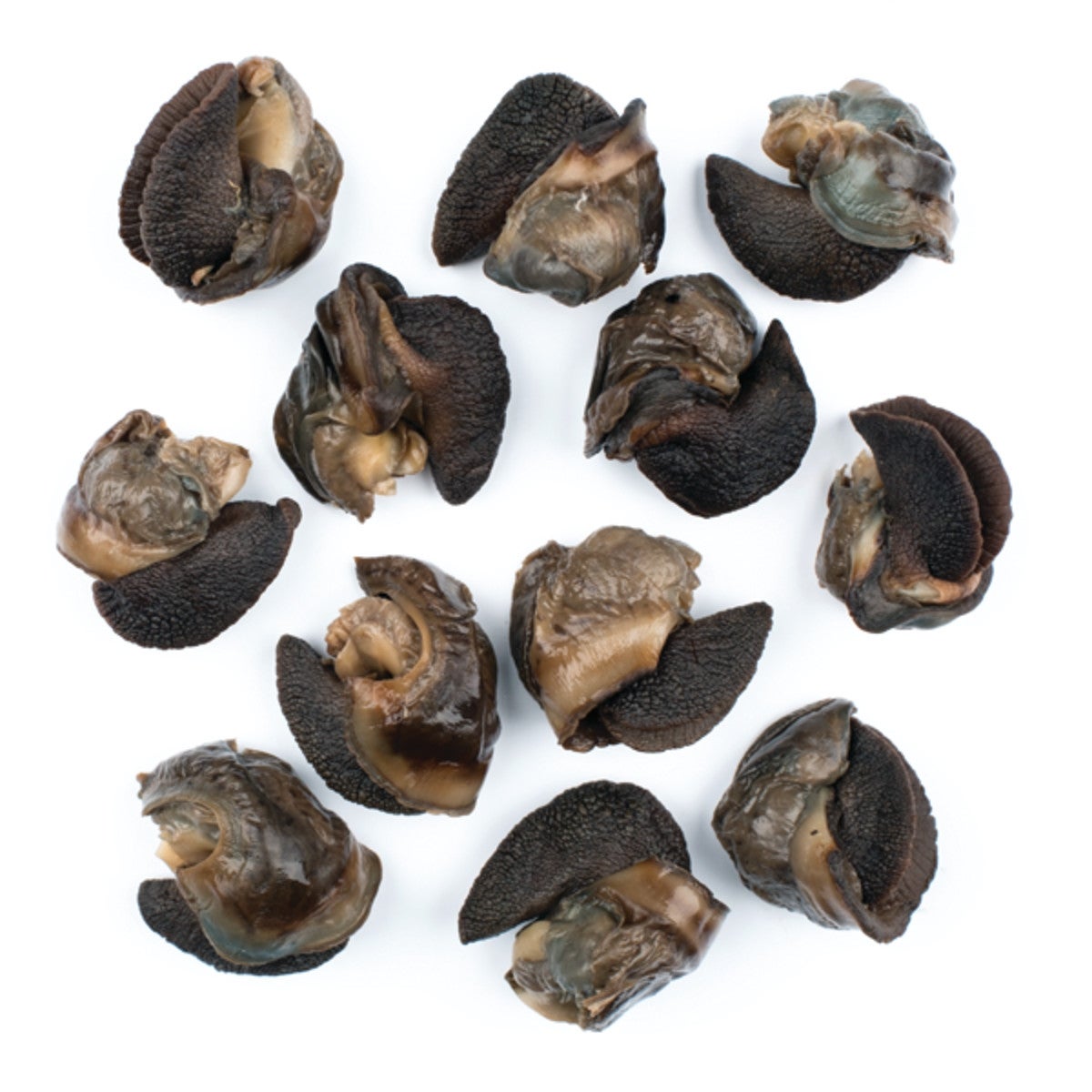 Snails, Extra Large,12 - 28 OUNCE