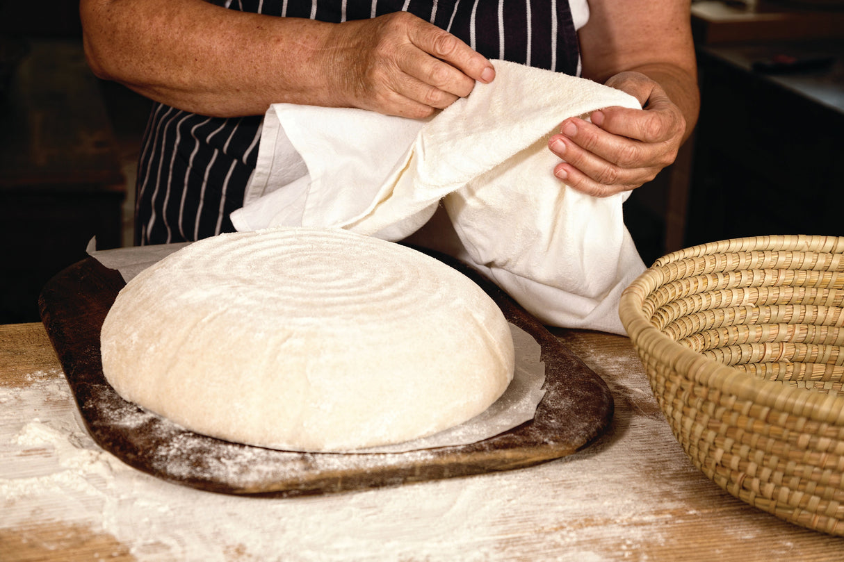 Towels, Flour Sack, 28 x 29 Inch,12 - 1 EACH