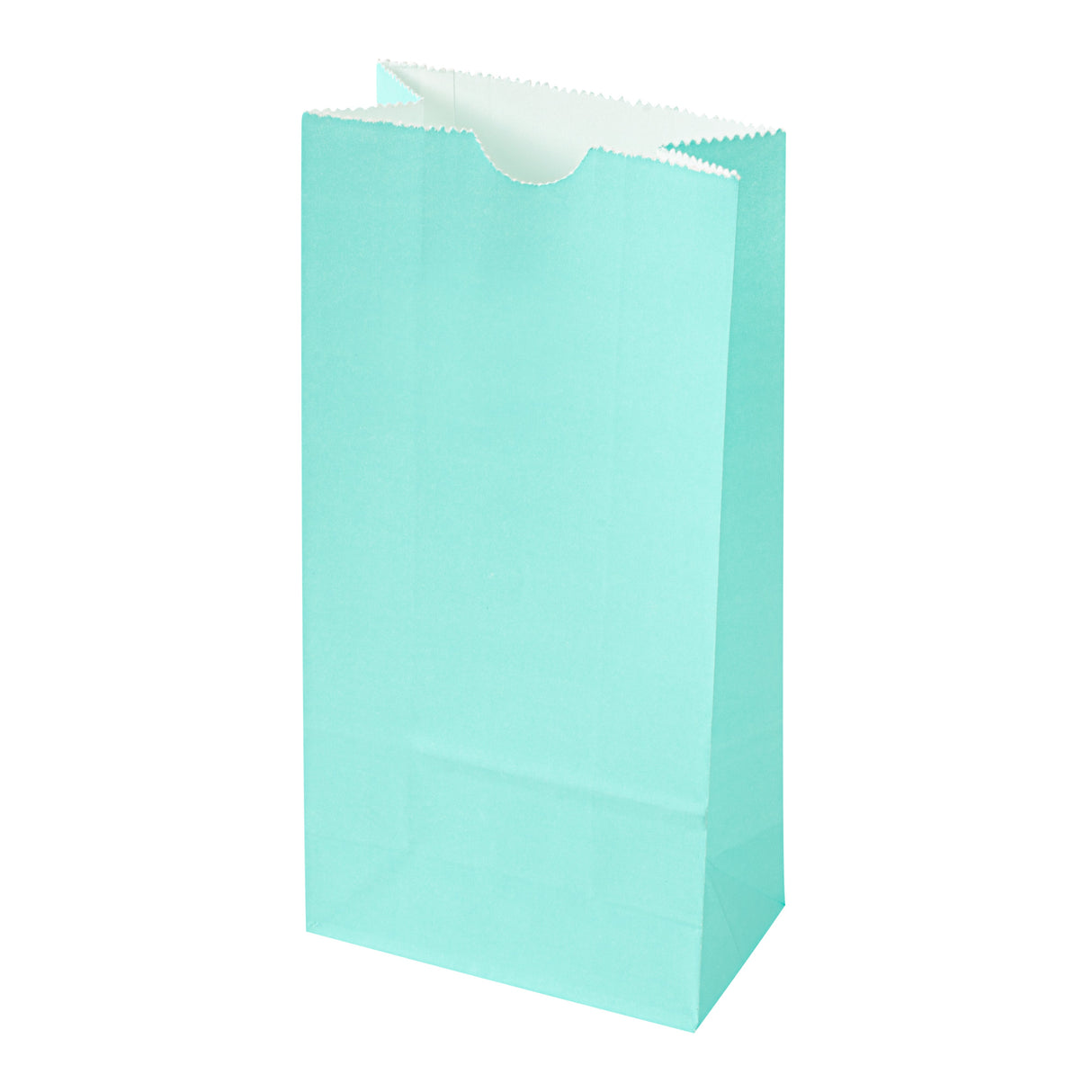 Bags, Bag Tek 2 Pound, Paper, Turquoise, 4.25 x 2.25 x 8.50 Inch,100 - 1 EACH