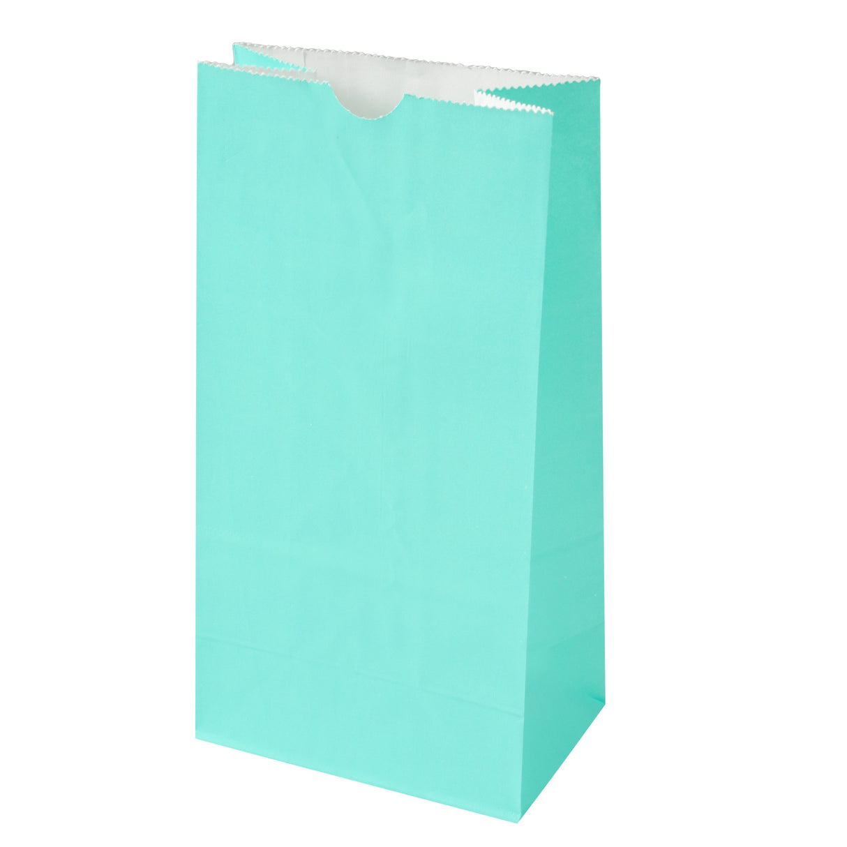 Bags, Bag Tek 4 Pound, Paper, Turquoise, 5 x 3.25 x 9.50 Inch,100 - 1 EACH