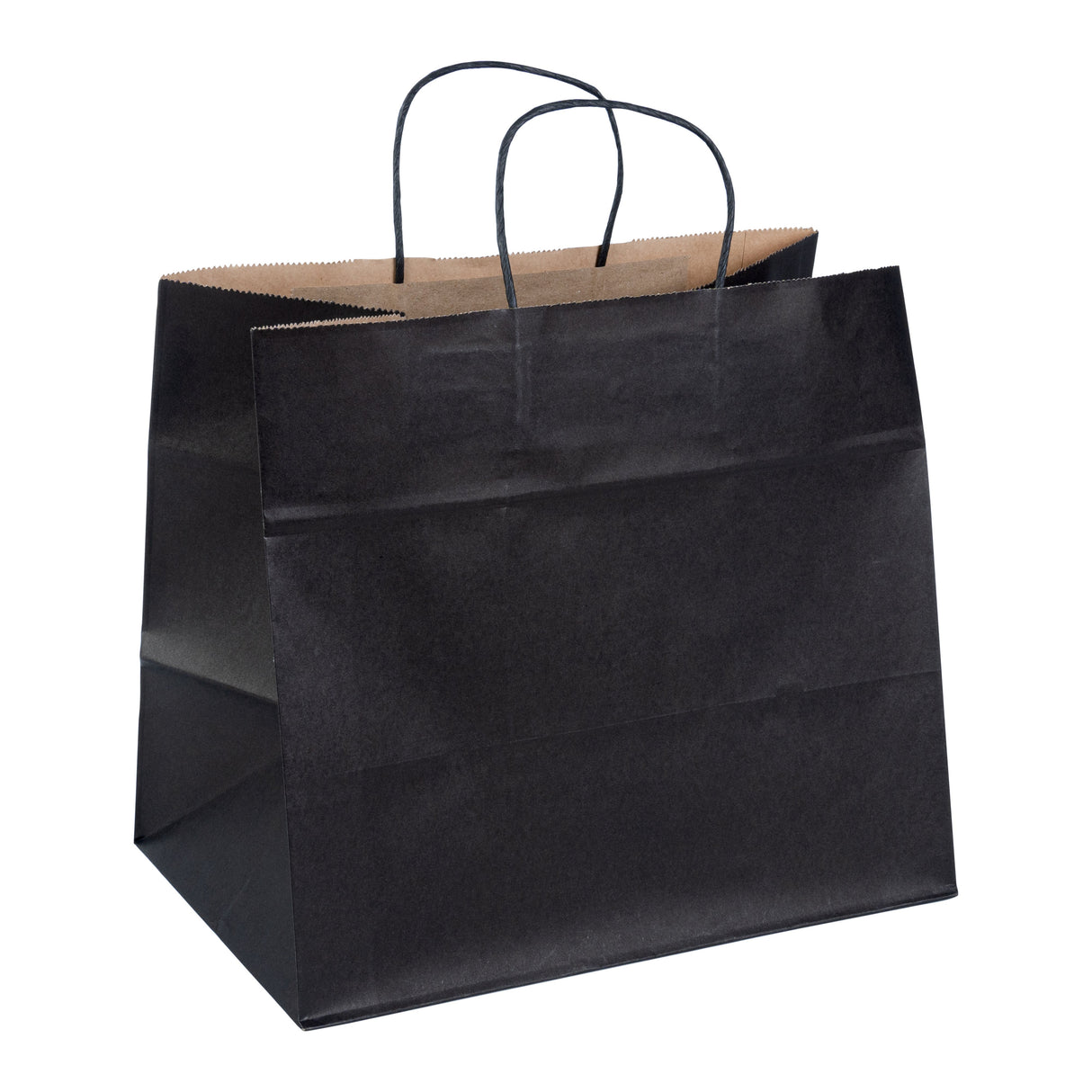 Bags, Retail, Saving Nature 12.50 x 8.25 x 11.25 In, Paper, Black, with Handles,100 - 1 EACH