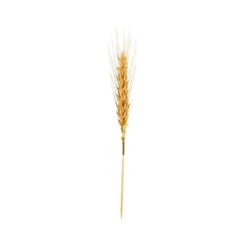 Skewers, 6 Inch, Wheat, Natural,1 - 500 COUNT