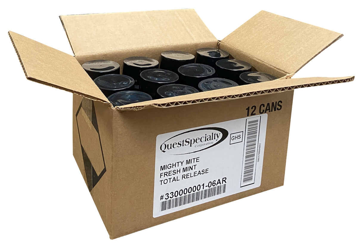 Air Freshener, Fresh Mint,12 - 6 OUNCE