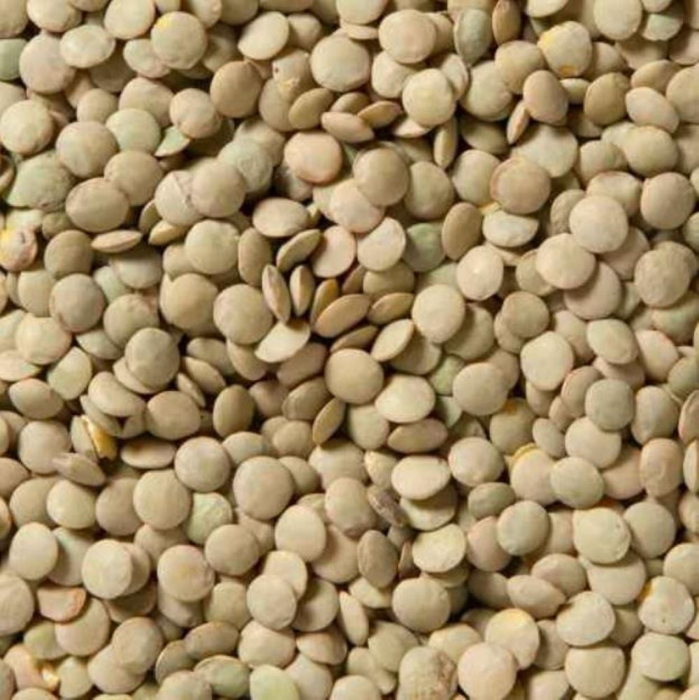 Lentils, Dried, Bulk,1 - 25 POUND