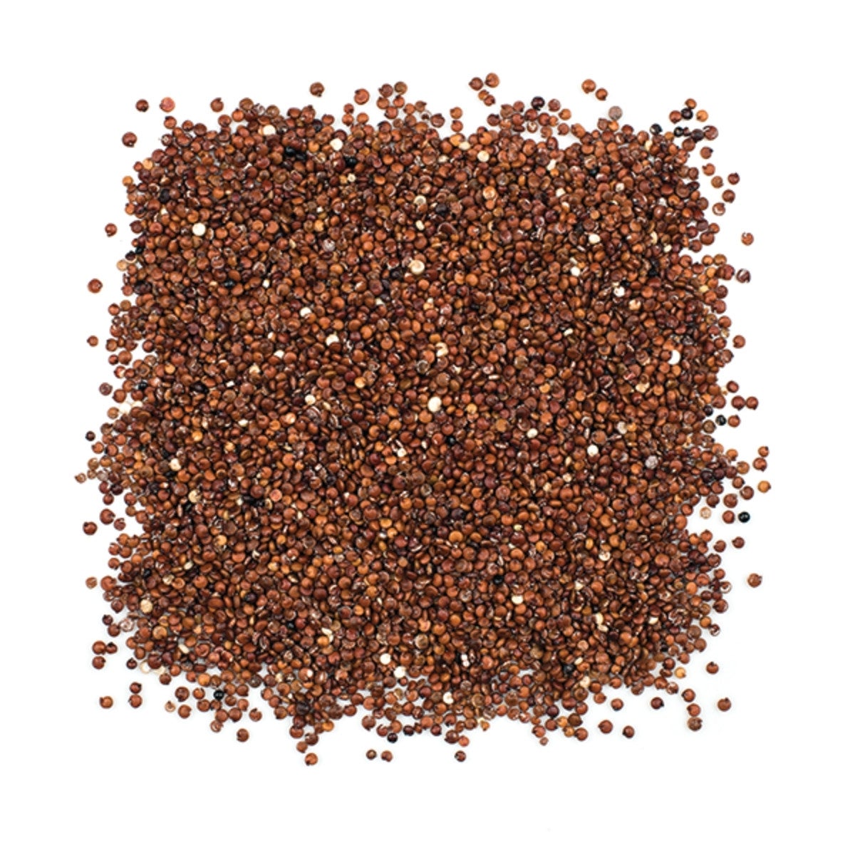 Quinoa, Red, Pre-Washed,2 - 5 POUND