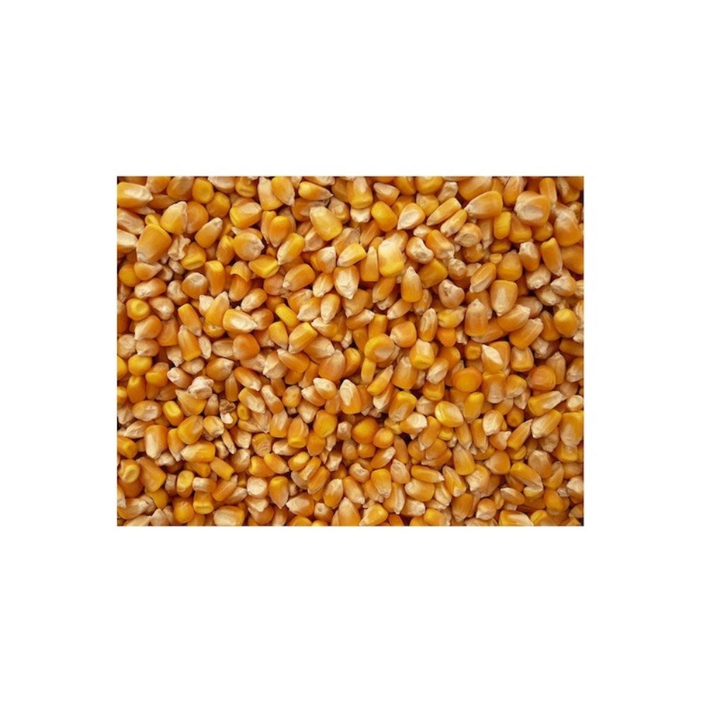 Popcorn Kernels, Yellow,1 - 5 POUND