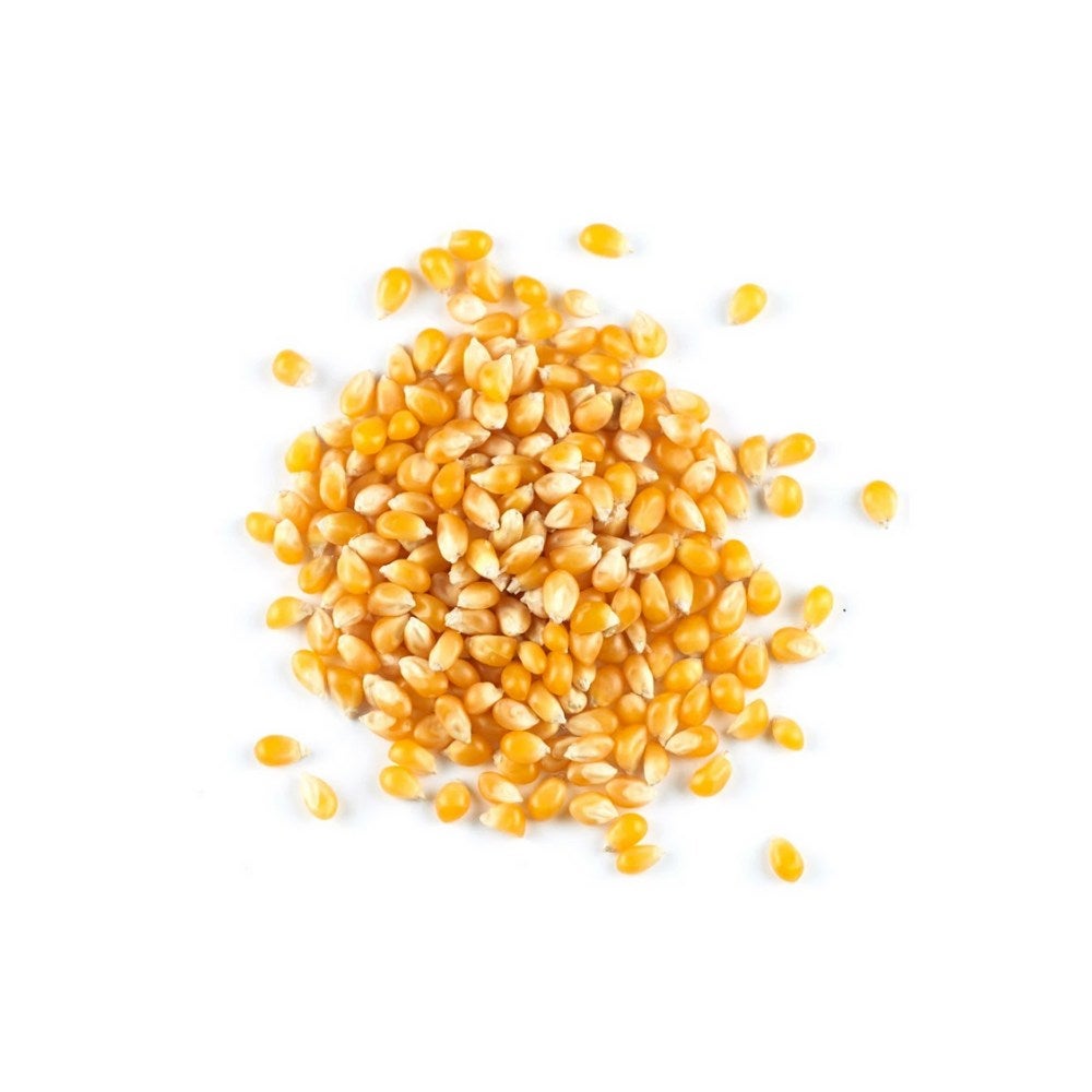 Popcorn Kernels, Yellow, Bulk,1 - 50 POUND