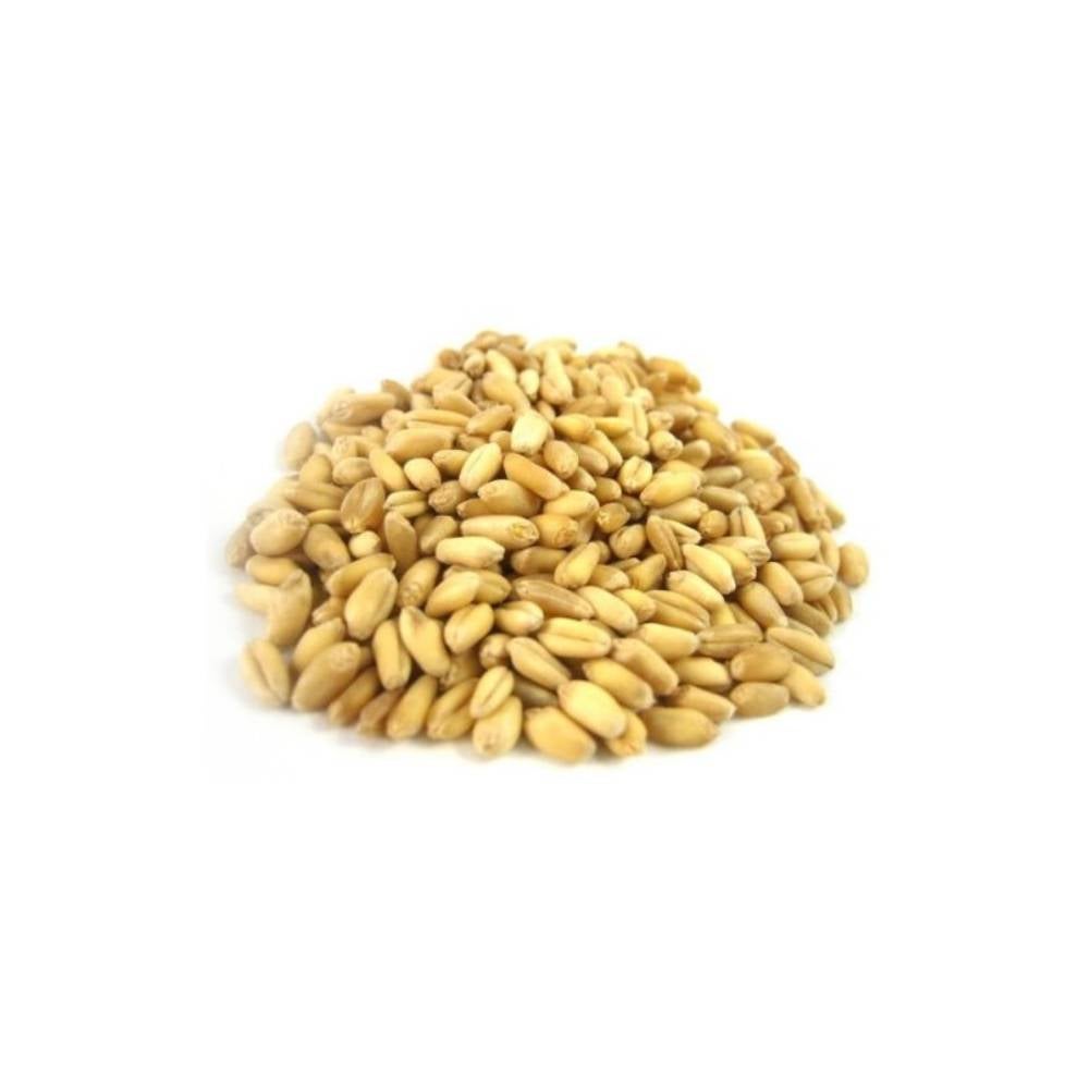 Wheat Berries, Hard Red Winter, Bulk,1 - 25 POUND