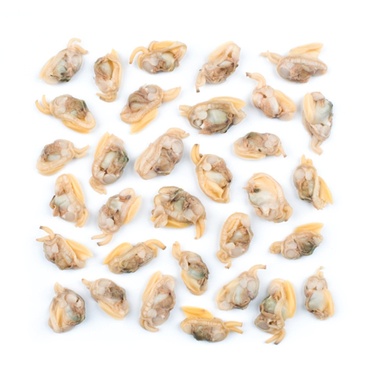 Clams, Baby, Whole, Boiled,24 - 10 OUNCE