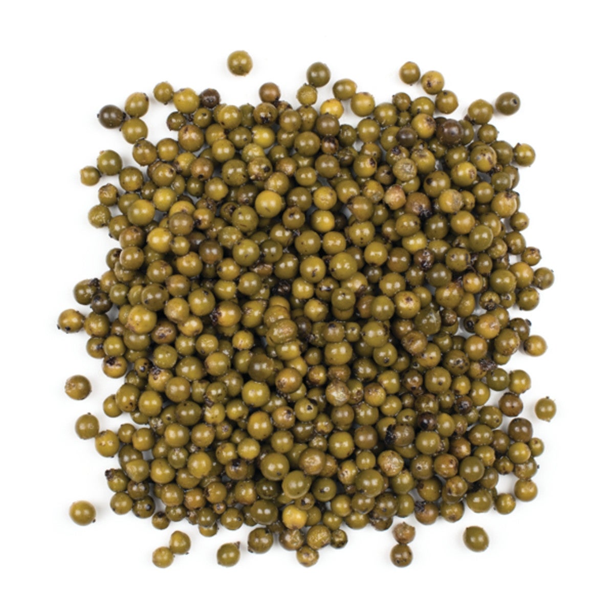 Peppercorns, Green, in Brine,24 - 3.52 OUNCE