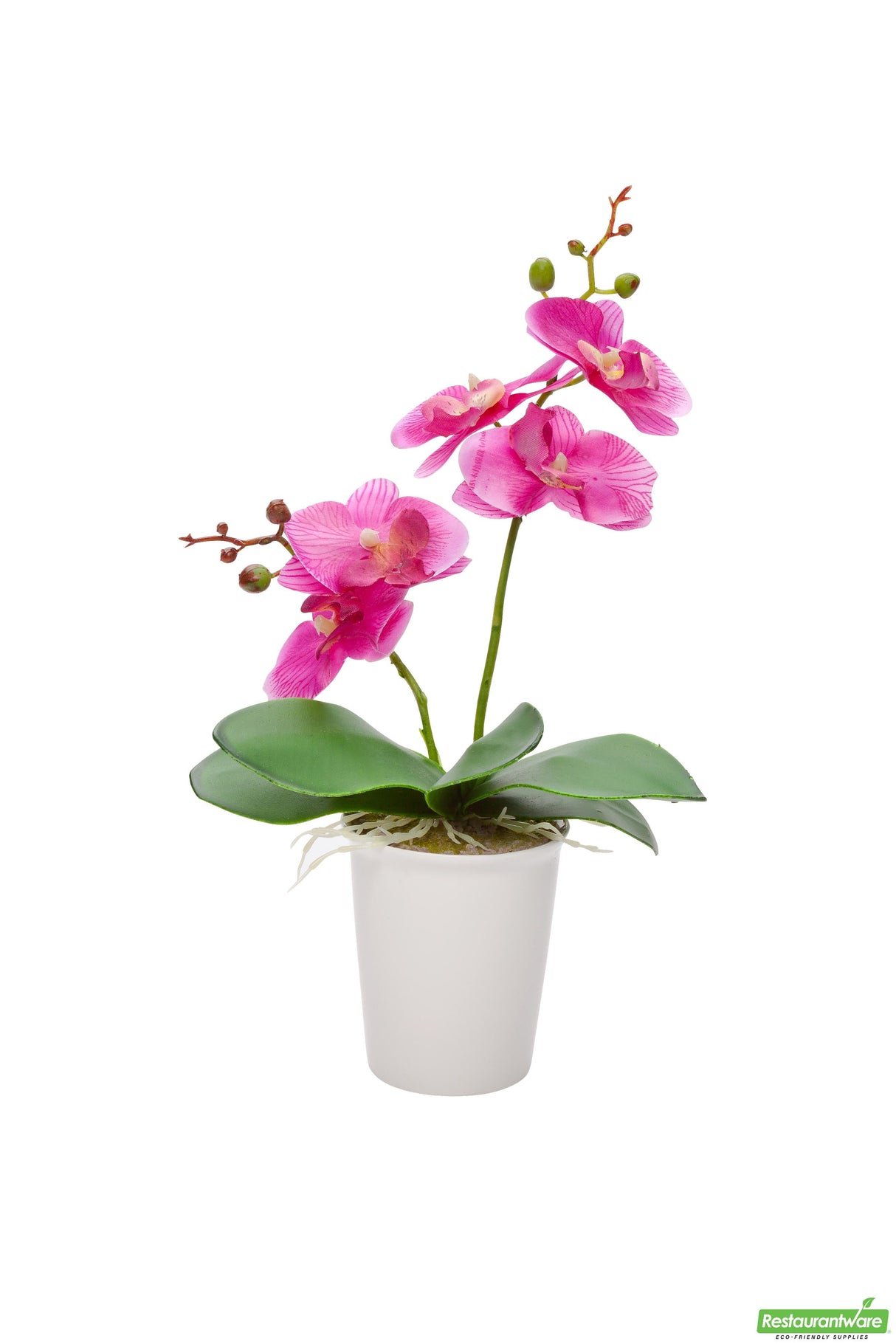 Orchids, Purple, Faux, with 5 Blooms, in White Plastic Pot,1 - 12 COUNT