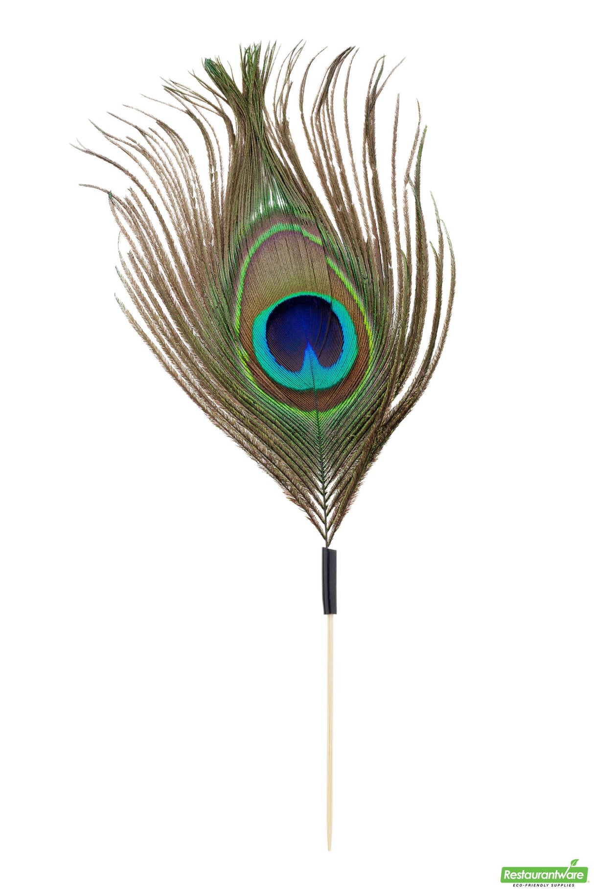 Skewers, 6 Inch, Bamboo, with Peacock Eye, 6 Linear Inch,1 - 500 COUNT