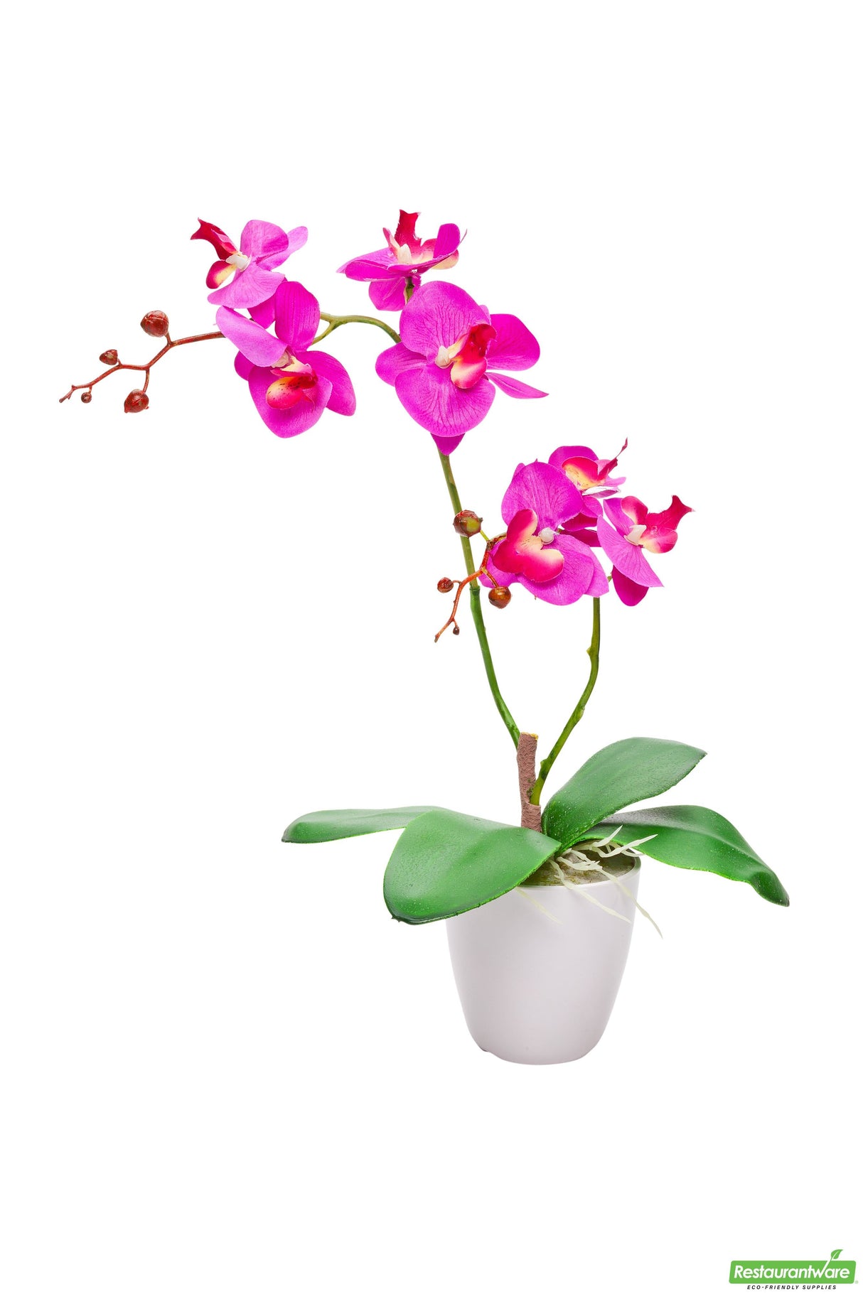 Orchids, Moth, Faux, with 8 Blooms, in White Pot,1 - 12 COUNT