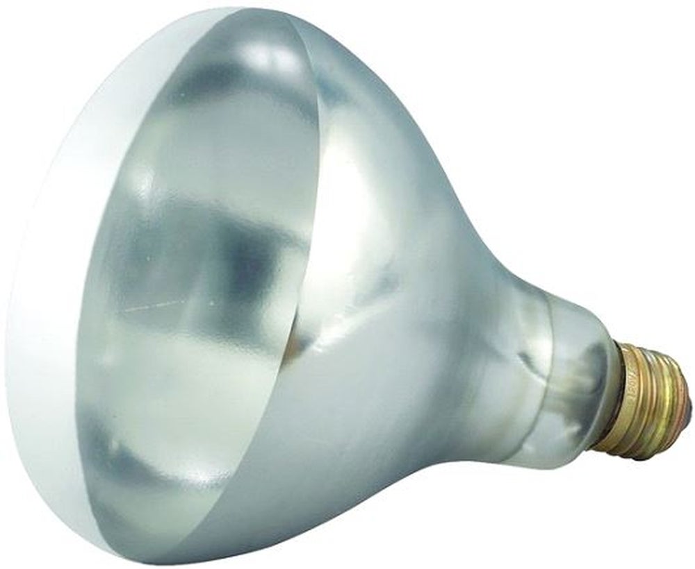 Heat Lamp Bulb, 250 Watt, Shatter-Resistant, Clear, For EHL-2 Heat Lamp,1 - 1 EACH