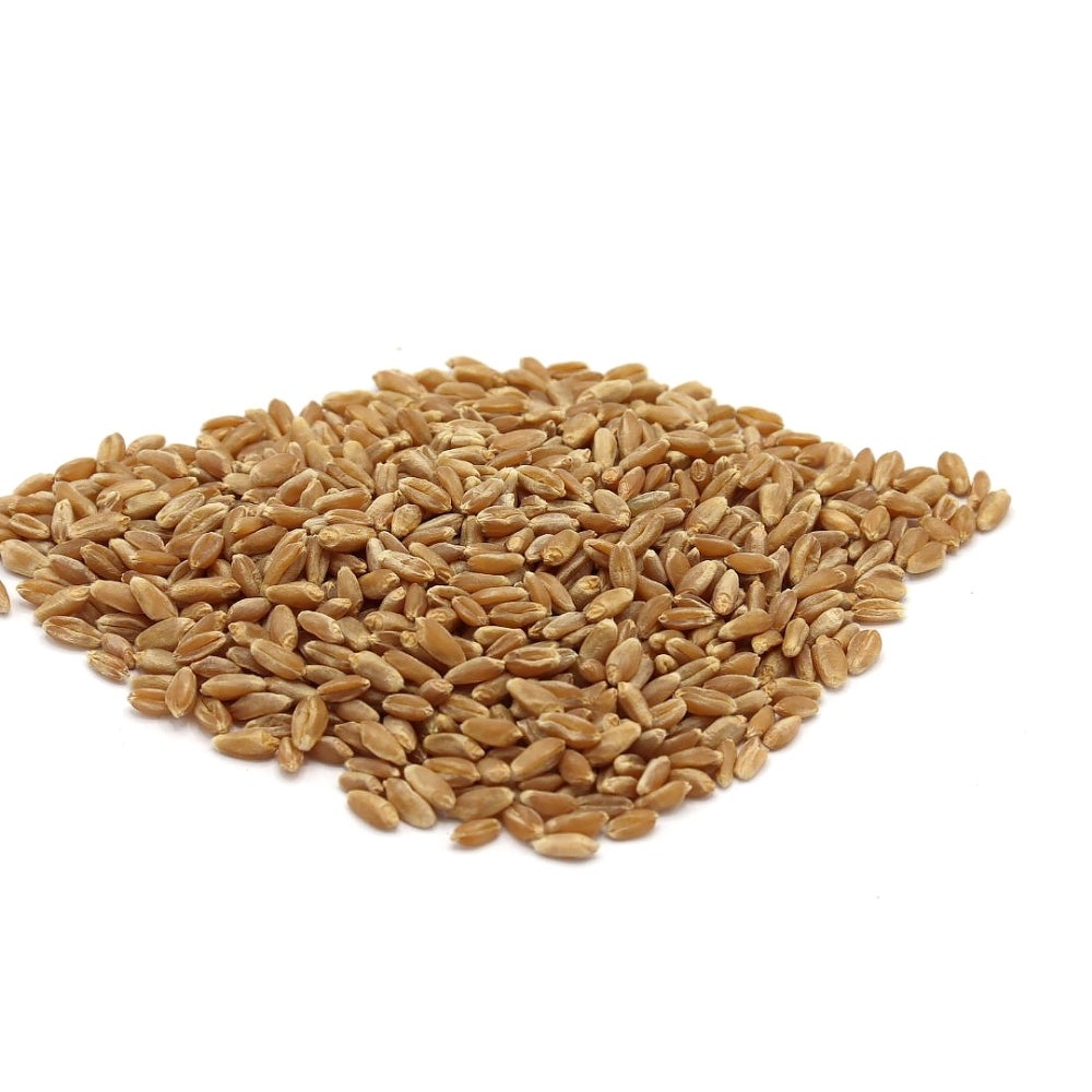 Wheat Berries,2 - 5 POUND