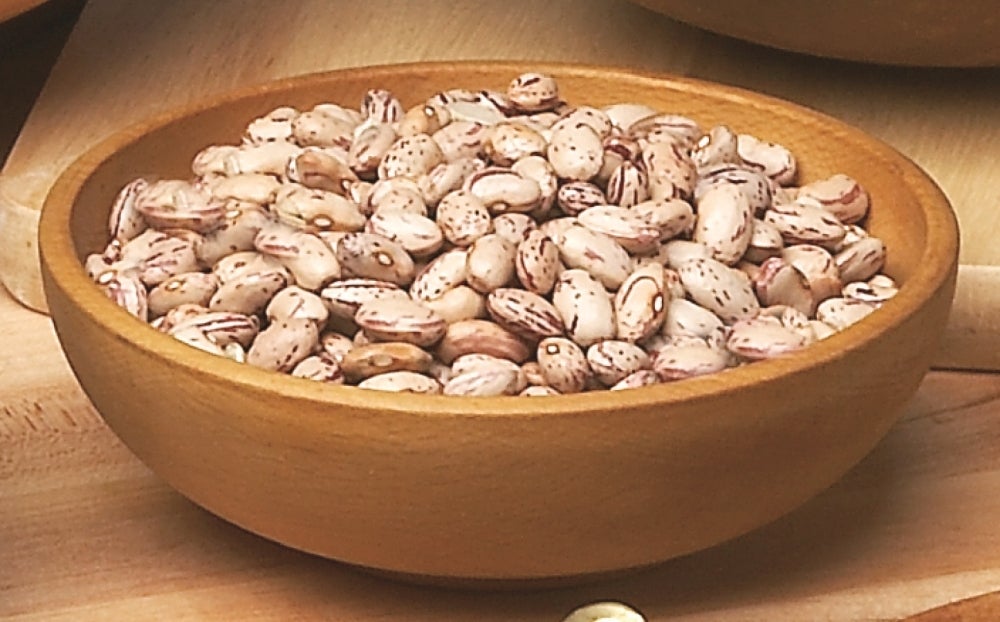 Beans, Cranberry Borlotti, Dried,1 - 10 POUND