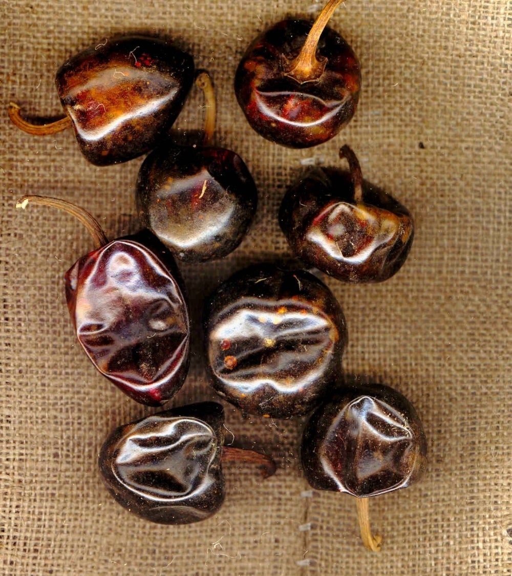 Peppers, Cascabel Chili, Whole, Dried, Bulk,1 - 10 POUND