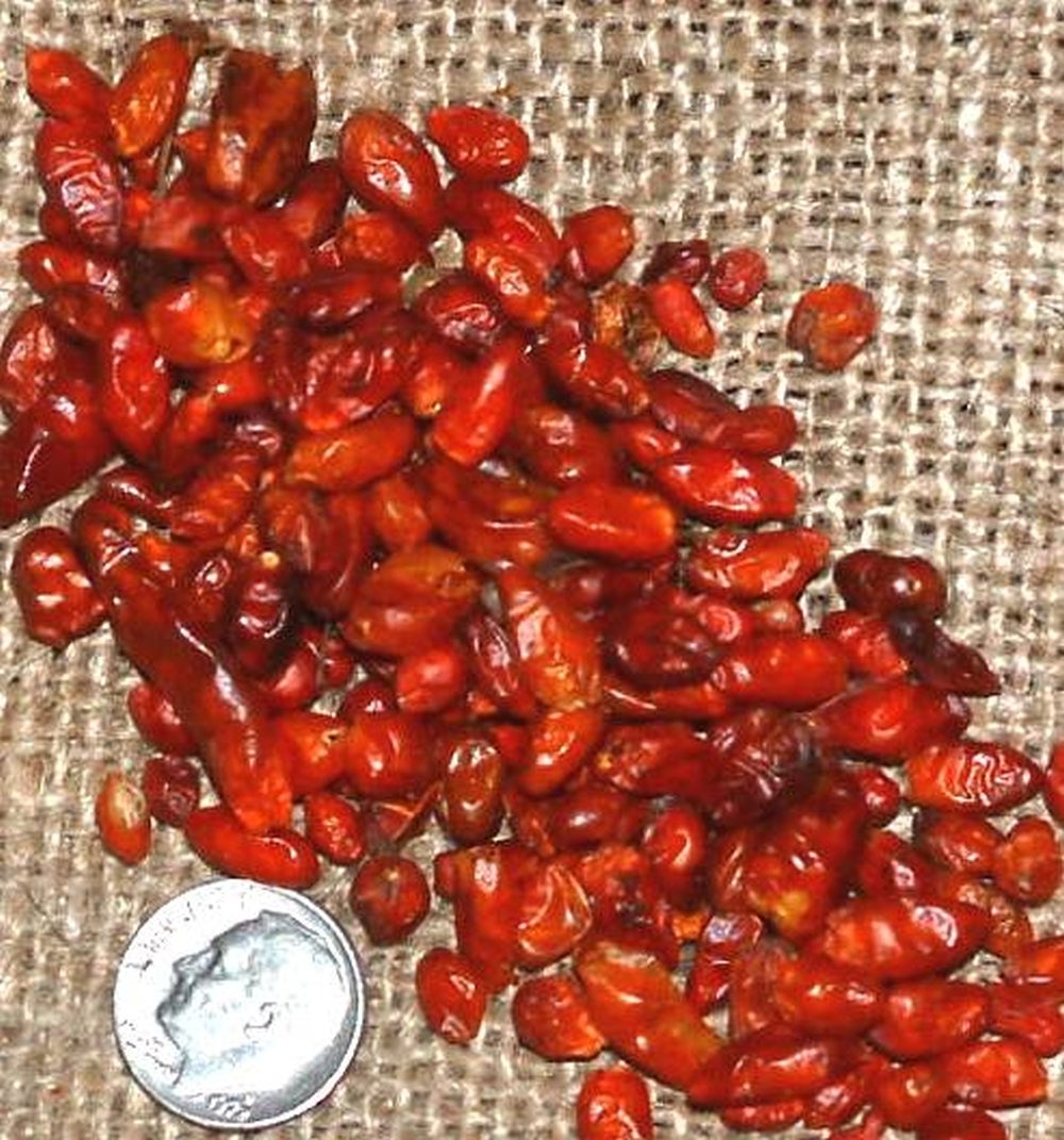 Peppers, Pequin Chili, Whole, Dried, Bulk,1 - 10 POUND