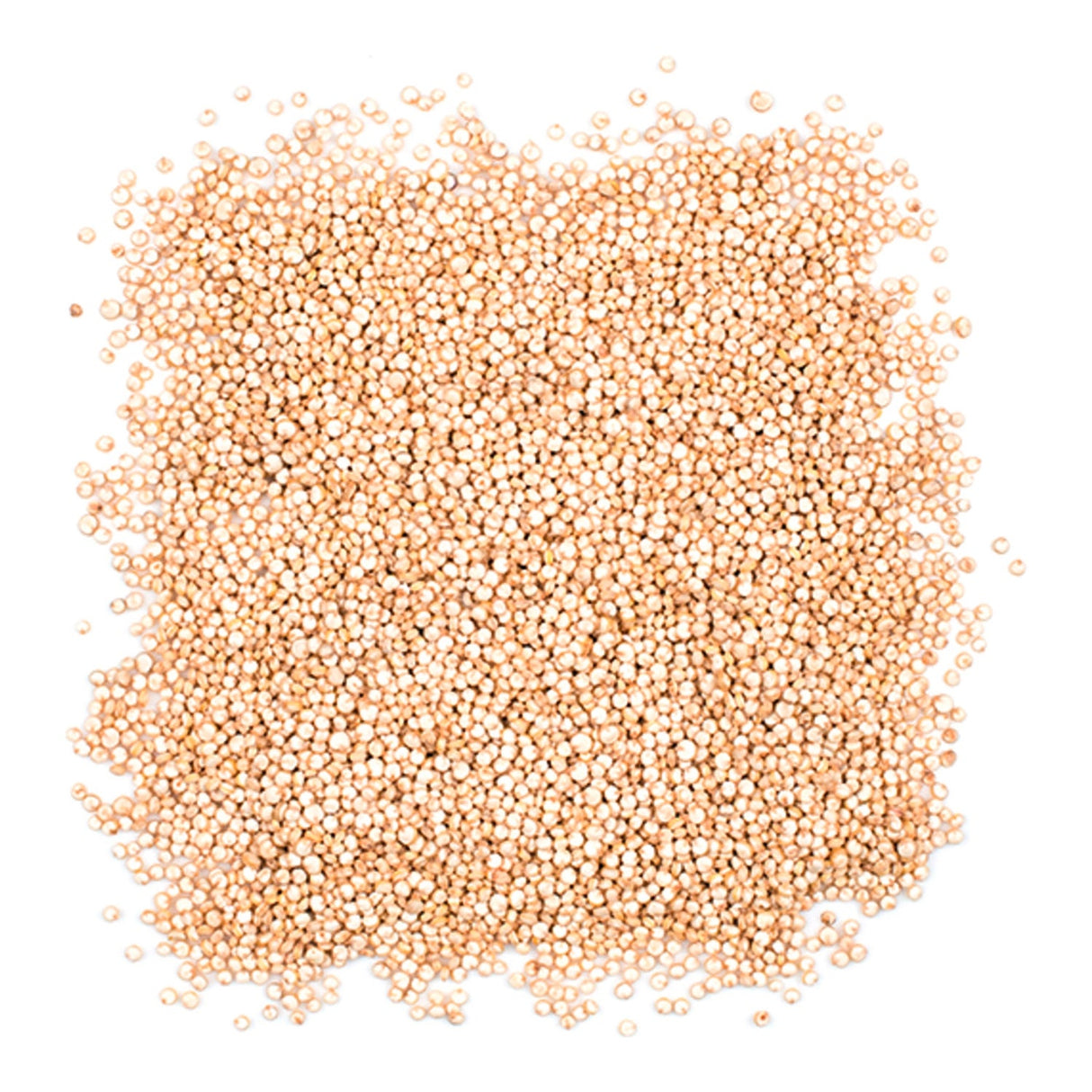 Quinoa, White, Pre-Washed,1 - 25 POUND