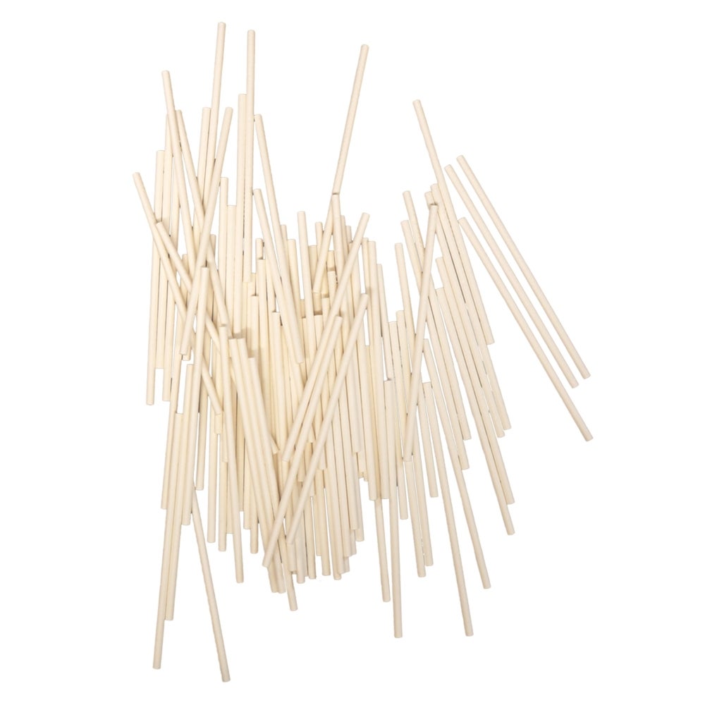 Lollipop Sticks, 4 Inch, Paper, White, 6 Linear Inch,5 - 100 COUNT