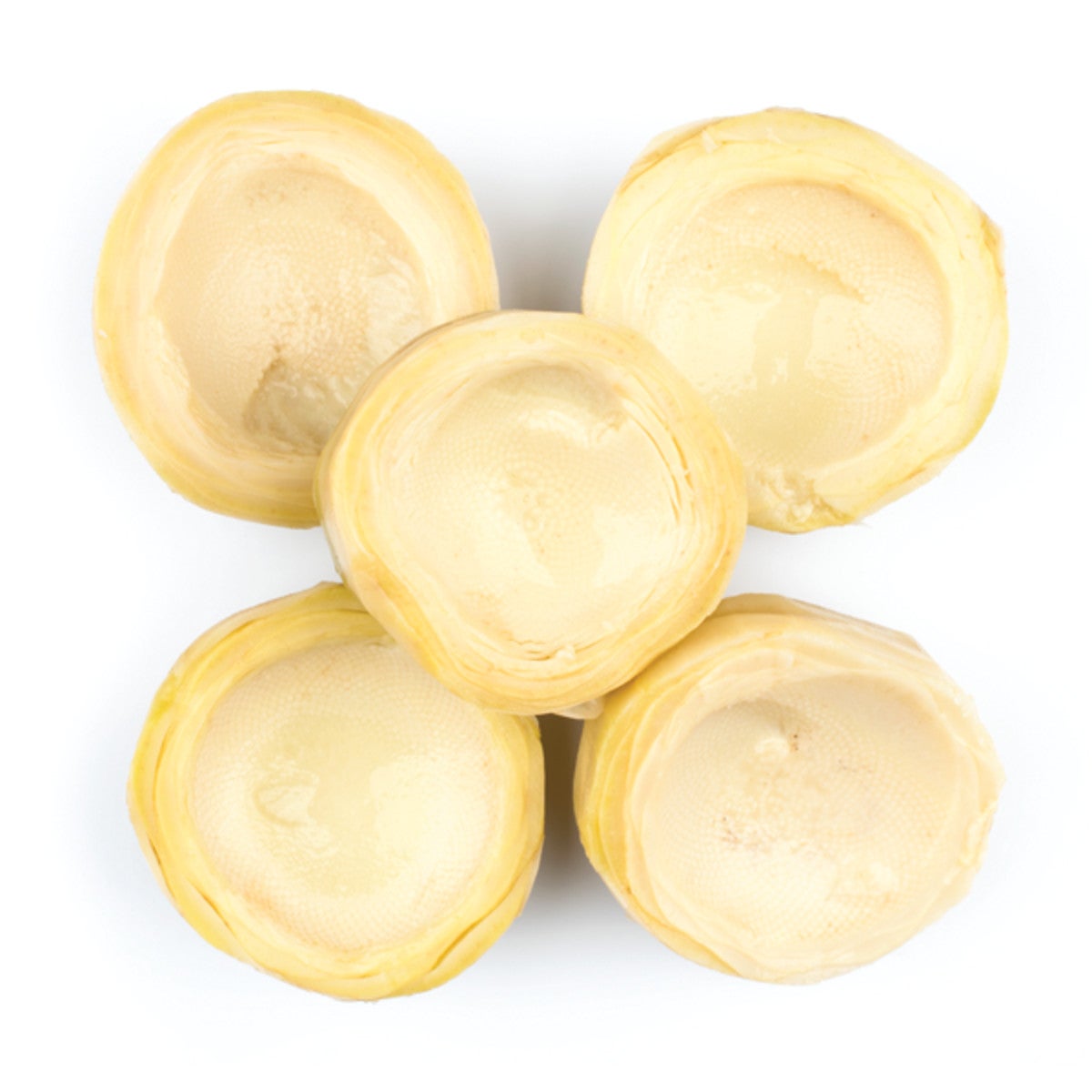Artichoke Bottoms, 5-7 Count,24 - 13.75 OUNCE