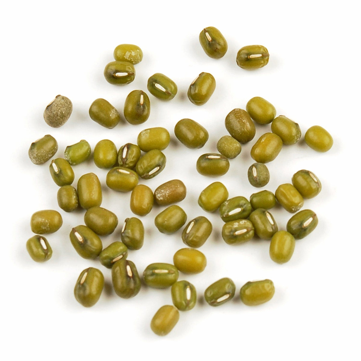 Beans, Mung, Whole,1 - 10 POUND