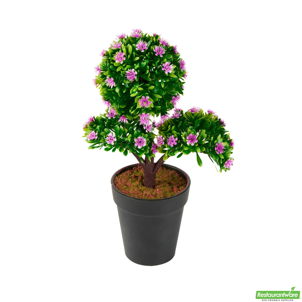 Crape Myrtle, Purple, Faux, in Black Plastic Pot,1 - 12 COUNT