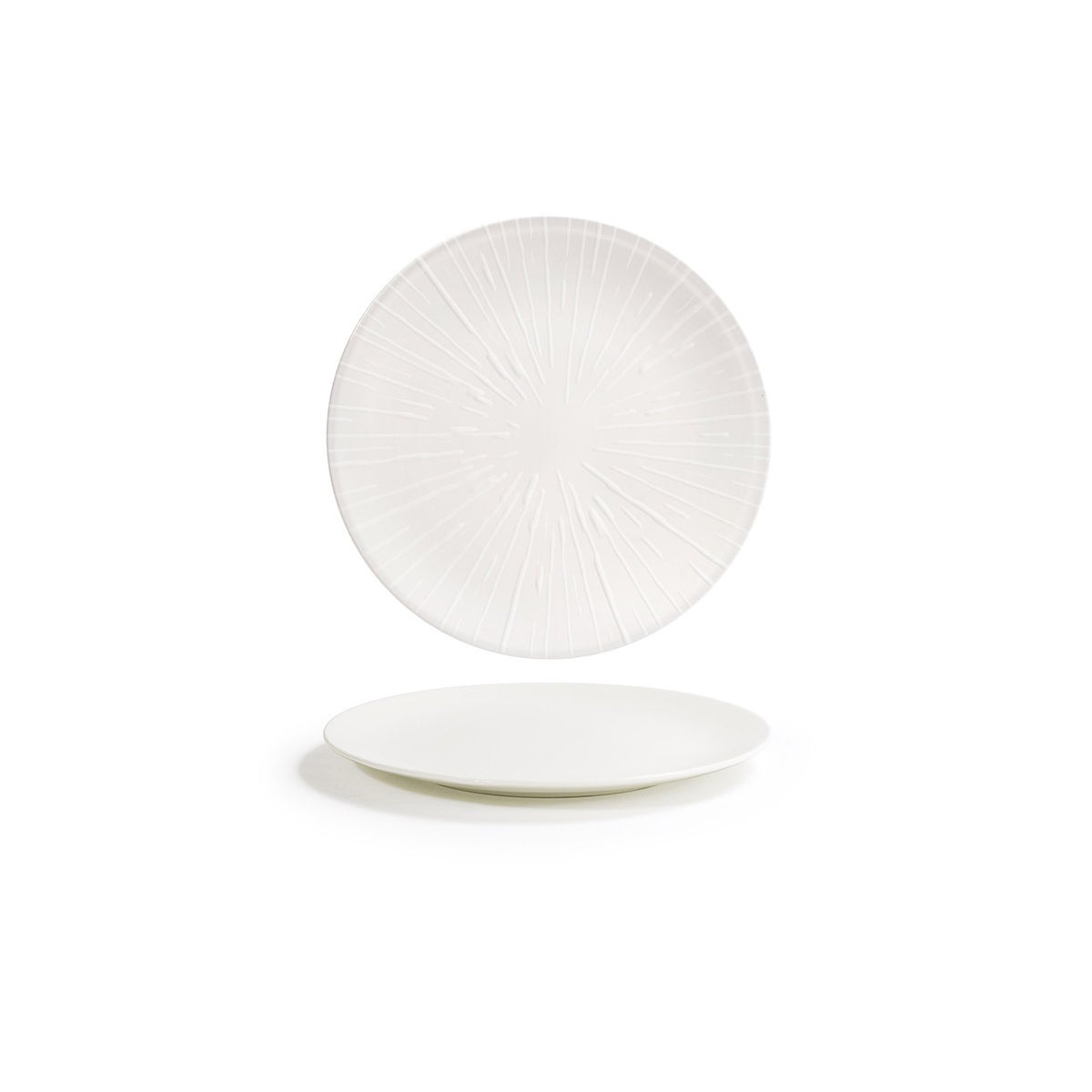 Plates, Coupe, Spoke, 9.5 Inch, White, Round,6 - 1 COUNT