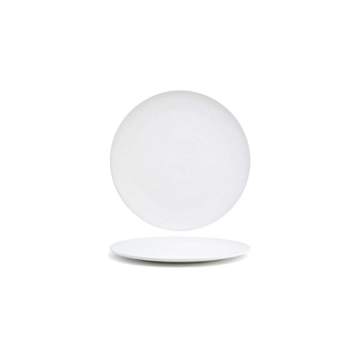 Plates, Canvas, 10 Inch, White, Undecorated,6 - 1 COUNT