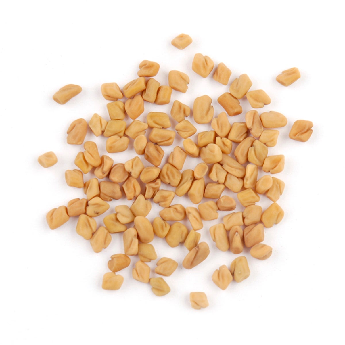 Spice, Fenugreek, Seed,1 - 13 POUND