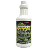 Cleaner & Degreaser, Oxygenated, Ready-to-Use, Heavy-Duty,12 - 1 QUART