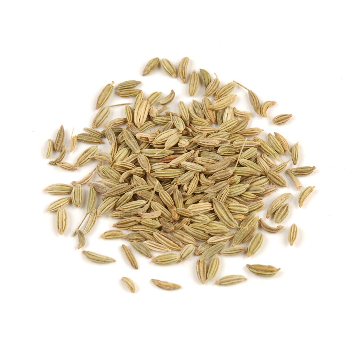 Spice, Fennel Seed, Whole,1 - 25 POUND