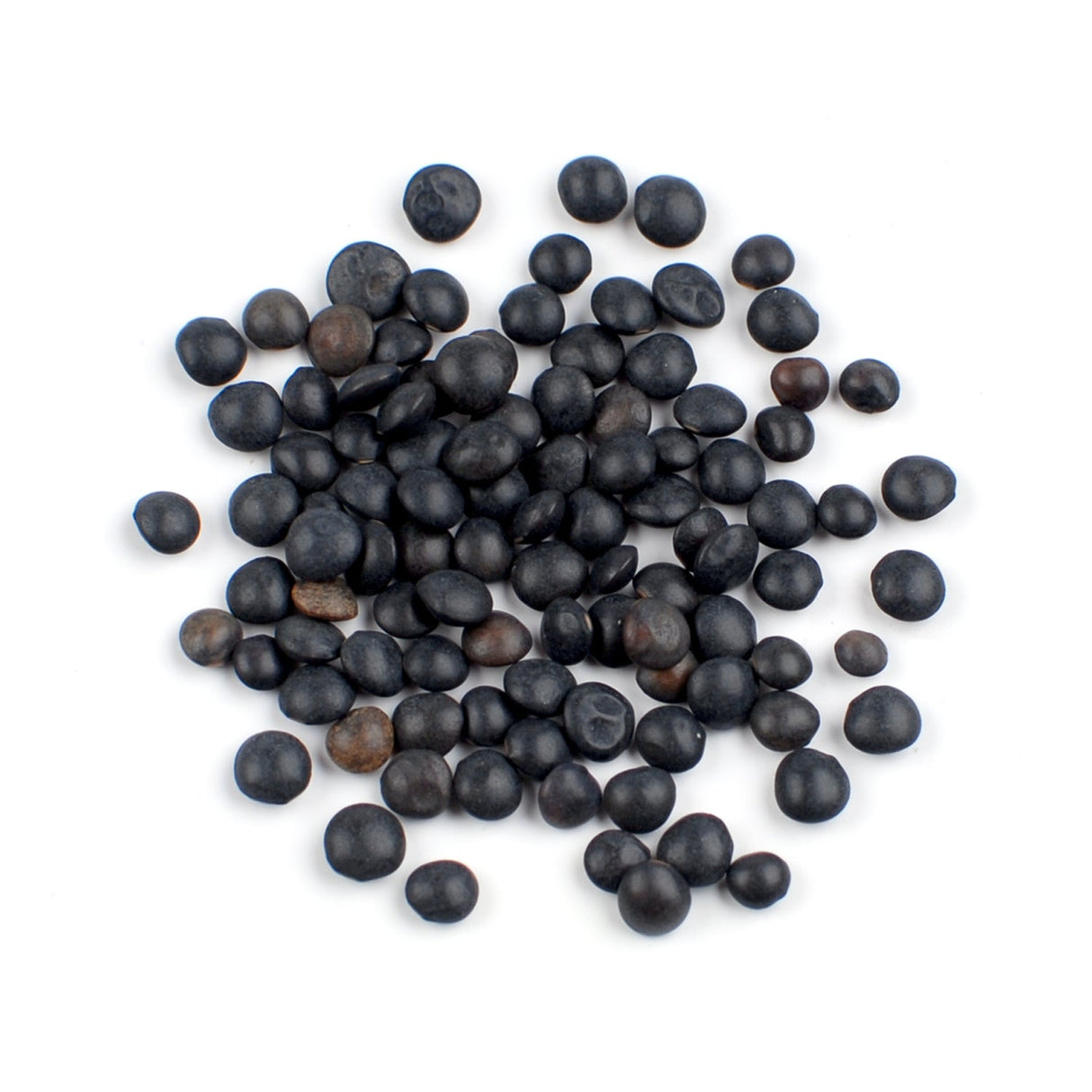 Lentils, Black, Beluga, Dried,1 - 10 POUND