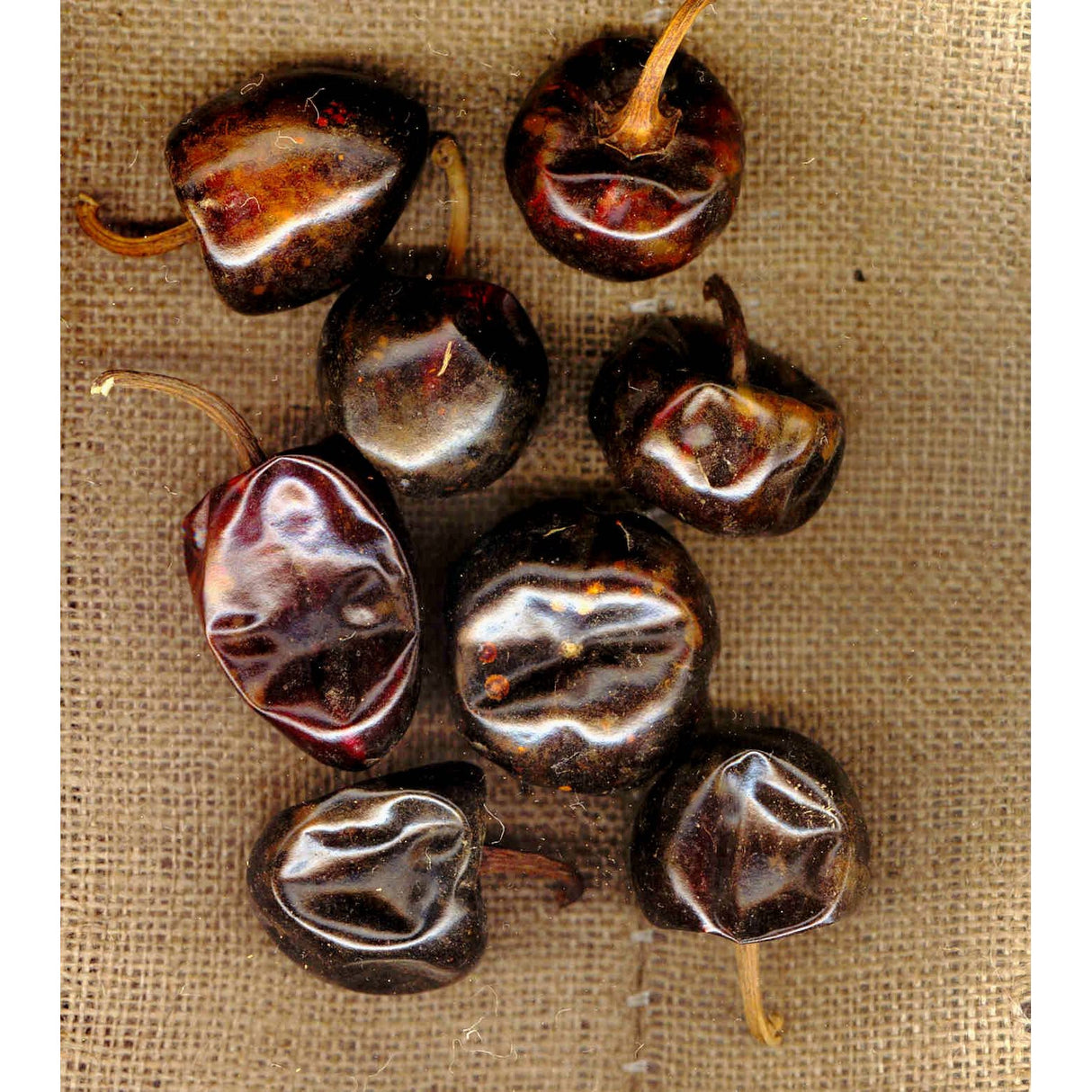 Peppers, Cascabel Chili, Whole, Dried, Bulk,1 - 10 POUND