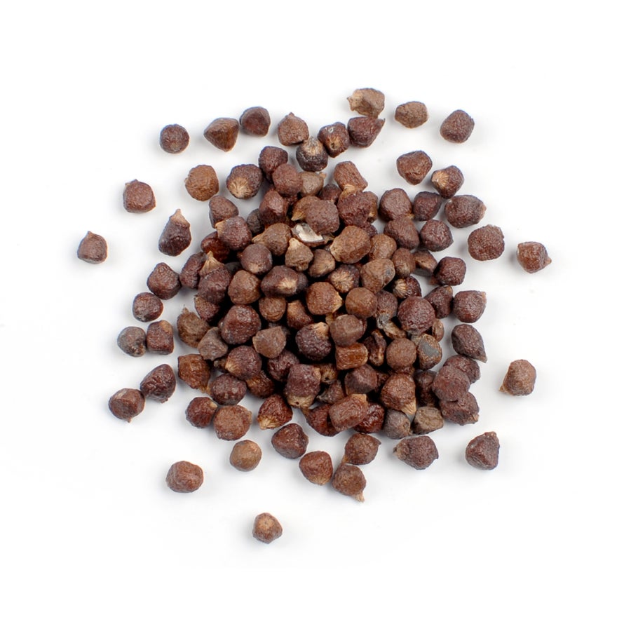 Spice, Grains of Paradise, Whole, Dried,6 - 16 OUNCE