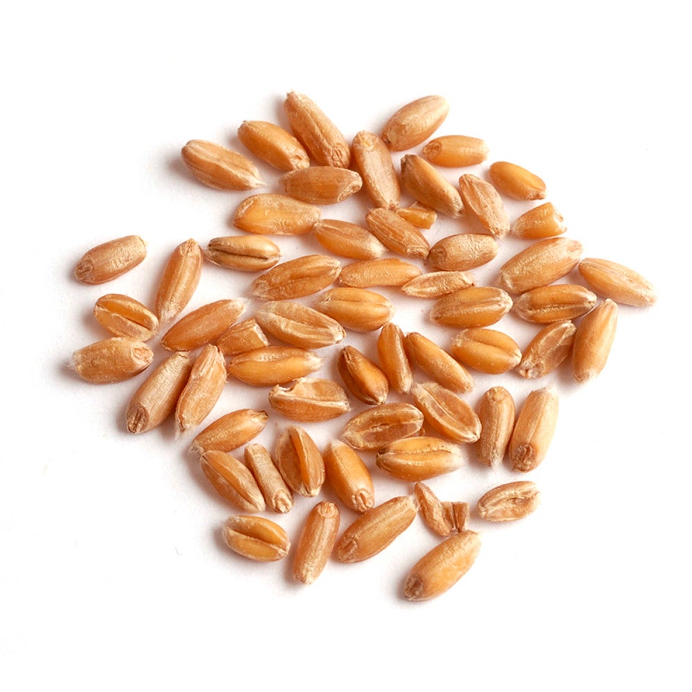 Spelt,1 - 25 POUND