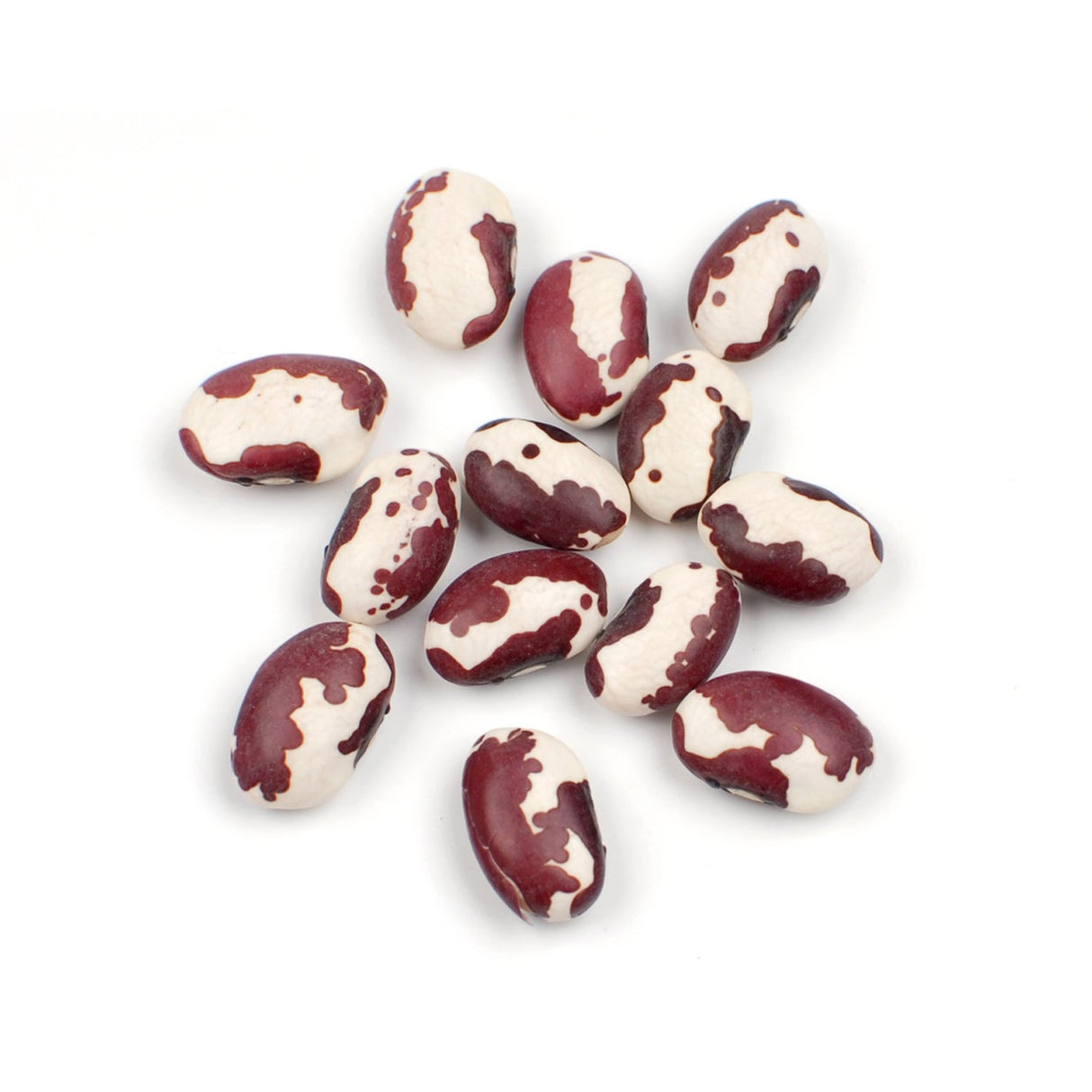Beans, Anasazi, Dry-Packed,1 - 25 POUND