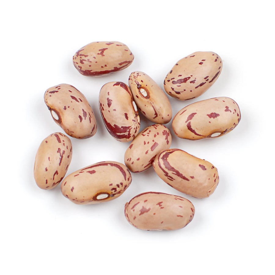 Beans, Cranberry, Dry,1 - 25 POUND