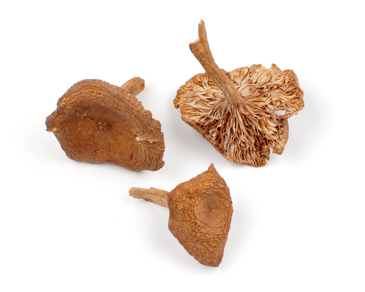 Mushrooms, Candy Cap, Dried,1 - 16 OUNCE