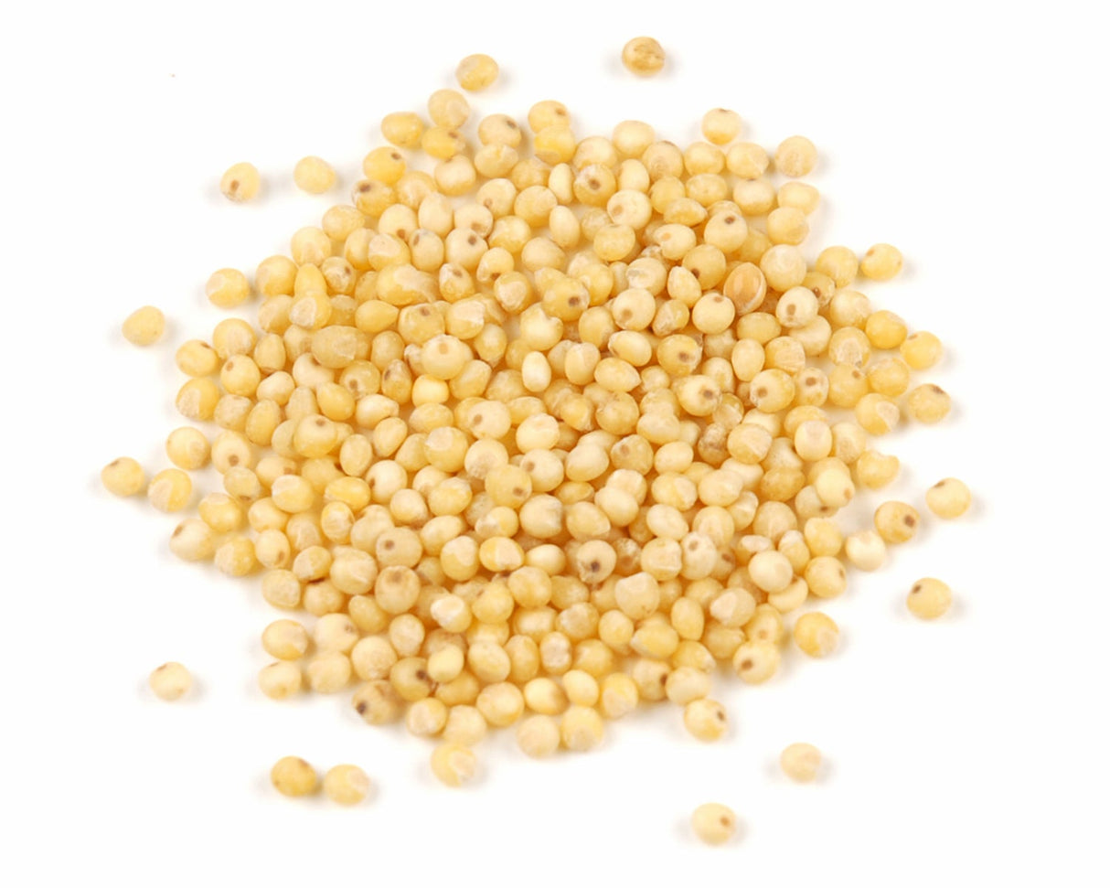 Seeds, Millet, Organic,1 - 10 POUND