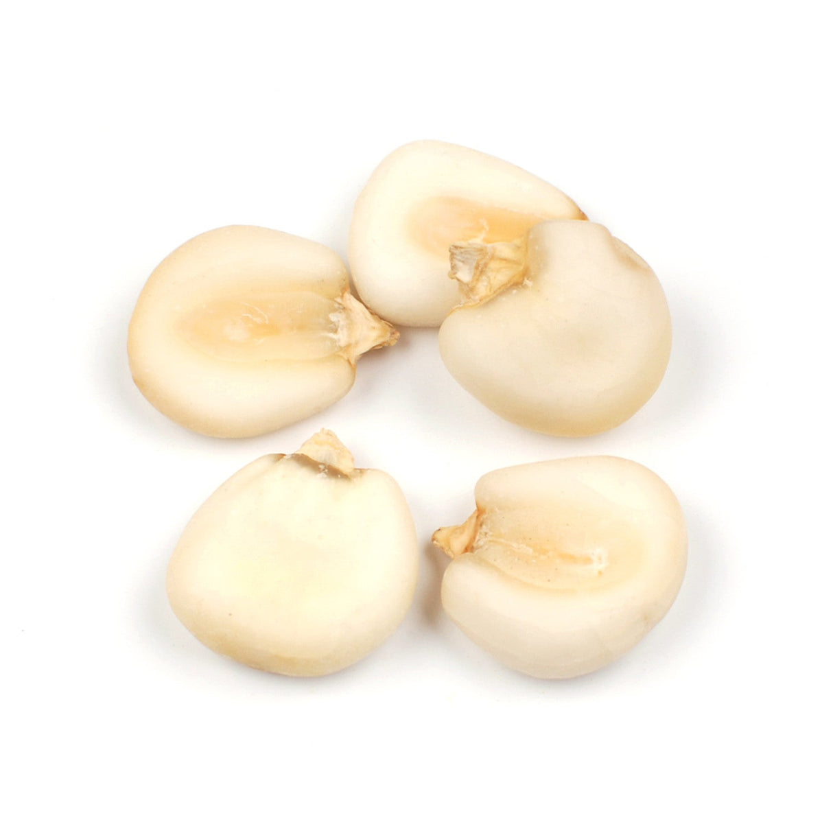 Corn, Giant White, Whole Kernel, Dried,1 - 8 POUND