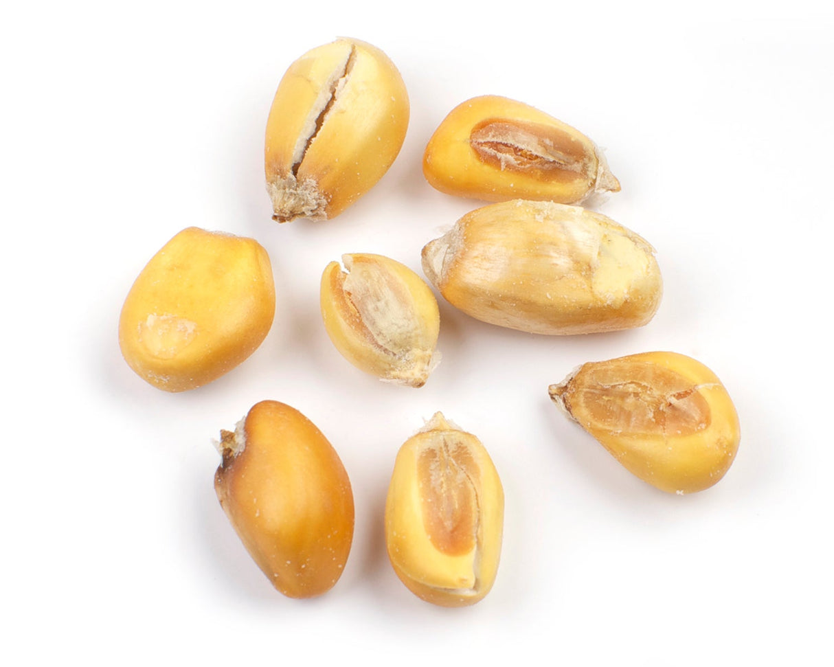 Snack, Corn, Peruvian Oil-Roasted,1 - 20 POUND