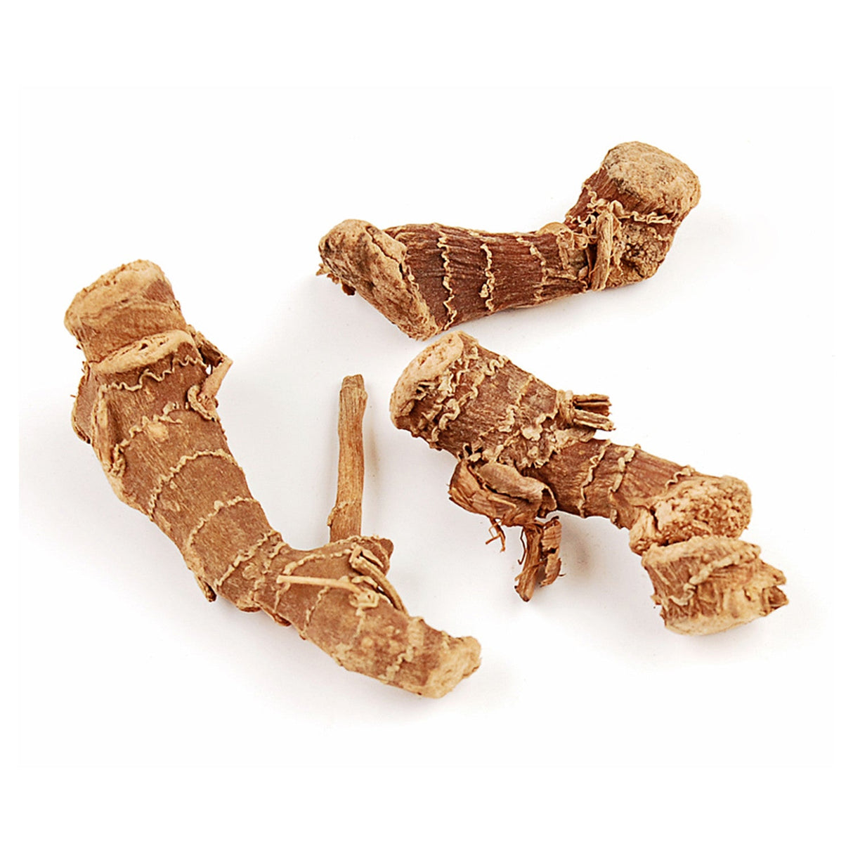 Spice, Galangal, Whole,6 - 6 OUNCE