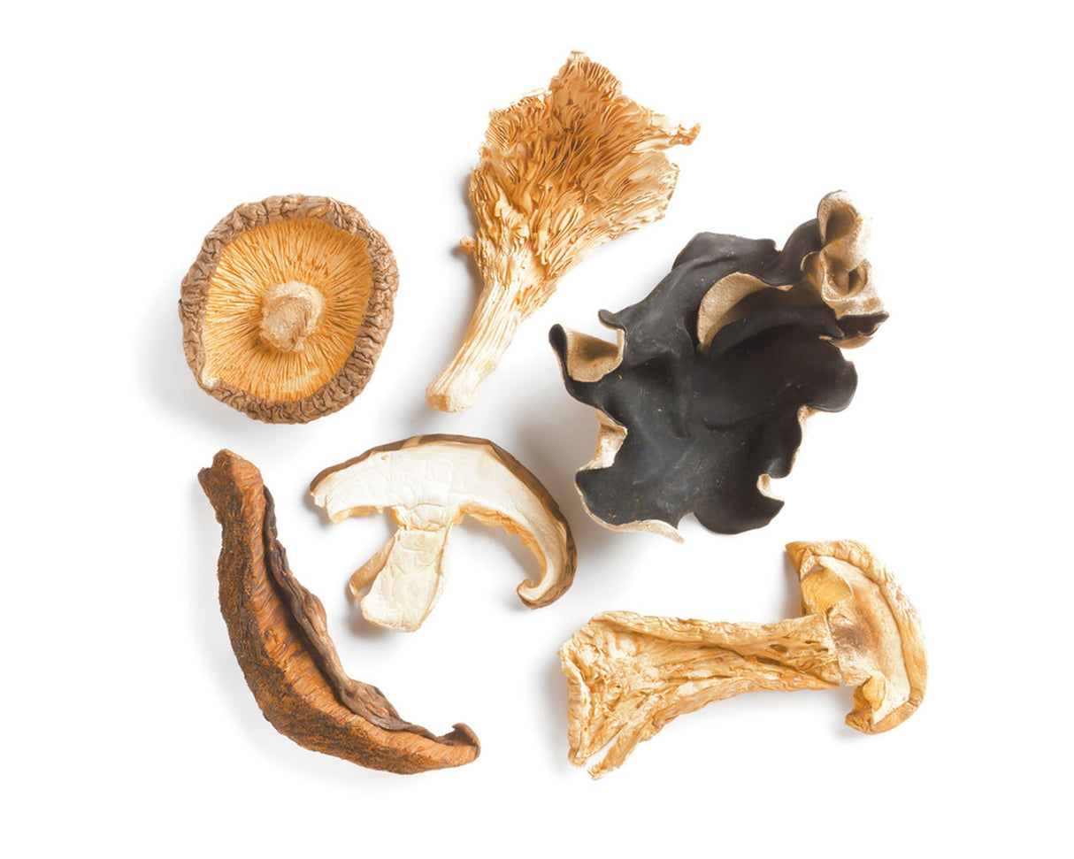 Mushrooms, Forest Blend, Sliced, Dried,1 - 15 POUND