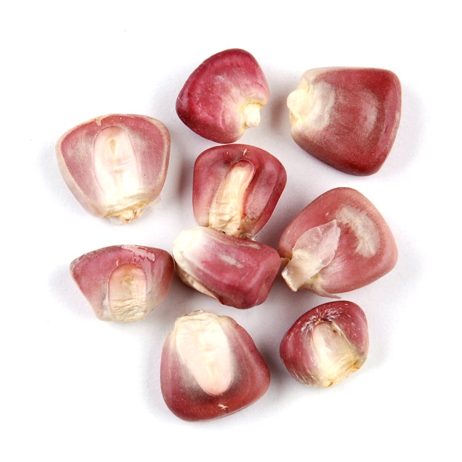 Corn, Red, Whole Kernel, Dried,1 - 25 POUND