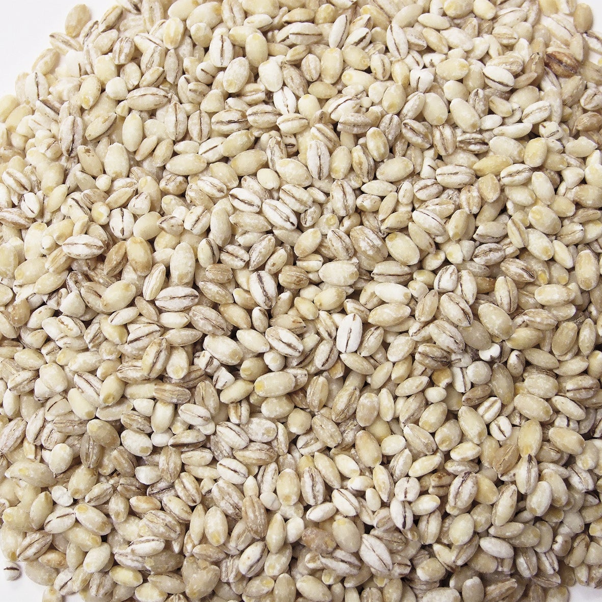 Barley, Pearled, Dry-Packed,24 - 1 POUND