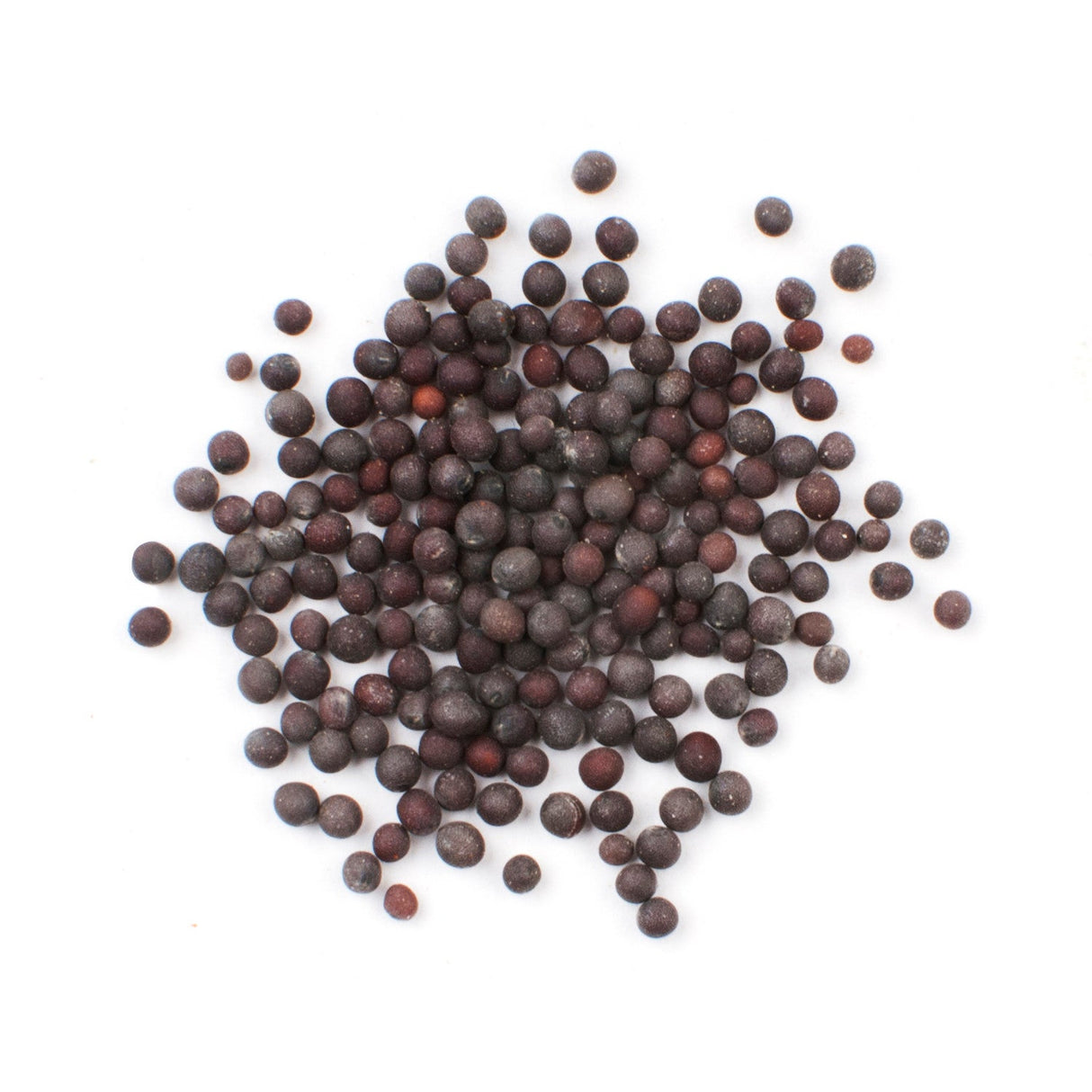 Spice, Mustard Seed, Whole, Black,6 - 20 OUNCE